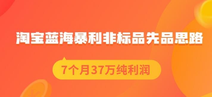盗坤淘宝蓝海暴利非标品先品思路,7个月37万纯利润,压箱干货分享!【付费文章】-副业金库