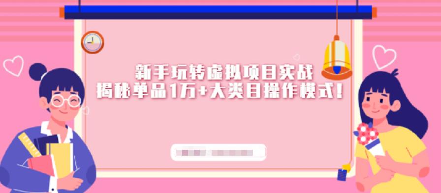 新手玩转虚拟项目实战,揭秘单品1万 大类目操作模式【视频课程】-副业金库