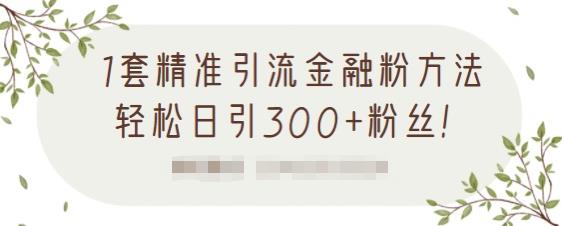 1套精准引流金融粉方法，轻松日引300 粉丝【视频课程】-副业金库