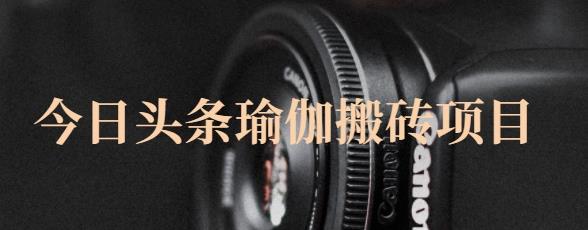 猎人社区·今日头条瑜伽搬砖项目，单号一天几十收入，可以批量操作！-副业金库