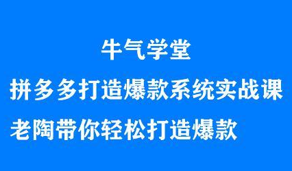 牛气学堂拼多多打造爆款系统实战课,老陶带你轻松打造爆款-副业金库