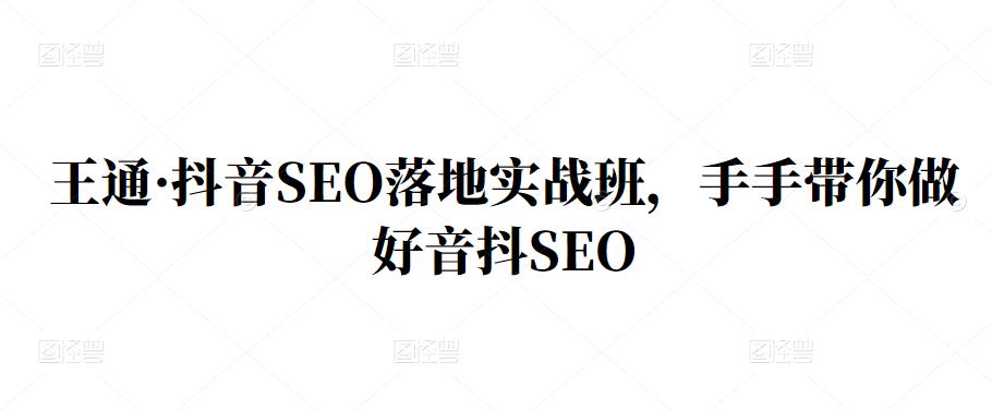 王通·抖音SEO落地实战班，手‬手带你做好音抖‬‬SEO-副业金库