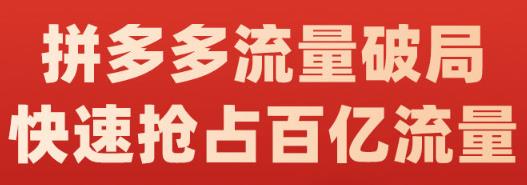 阿杰·拼多多流量破局:如何打黑标,爆款的思路,拼多多流量框架,快速抢占百亿流量-副业金库