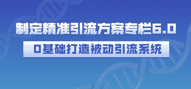 制定精准引流方案专栏6.0，0基础打造被动引流系统-副业金库