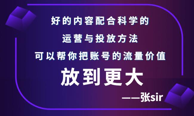 张sir账号流量增长课，告别海王流量，让你的流量更精准-副业金库