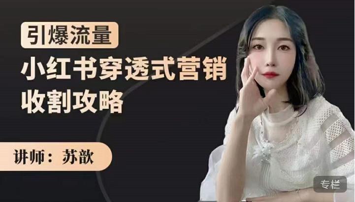 小红书穿透式营销收割攻略，引爆流量，助你玩转小红书-副业金库