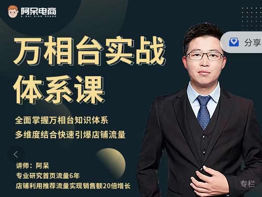 阿呆-万相台实战体系课，帮您全面掌握万相台知识体系-副业金库