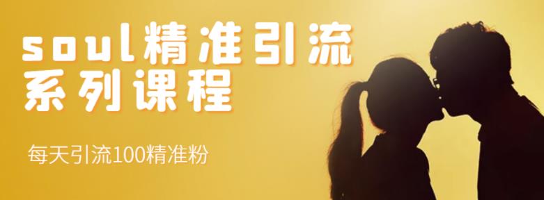 soul精准引流系列课程，每天引流100精准粉-副业金库