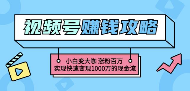 玩转微信视频号赚钱：小白变大咖涨粉百万实现快速变现1000万的现金流-副业金库