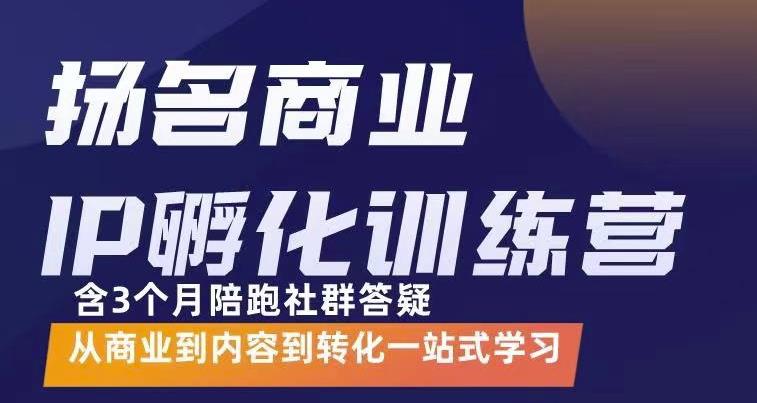 杨名商业IP孵化训练营，从商业到内容到转化一站式学 价值5980元-副业金库