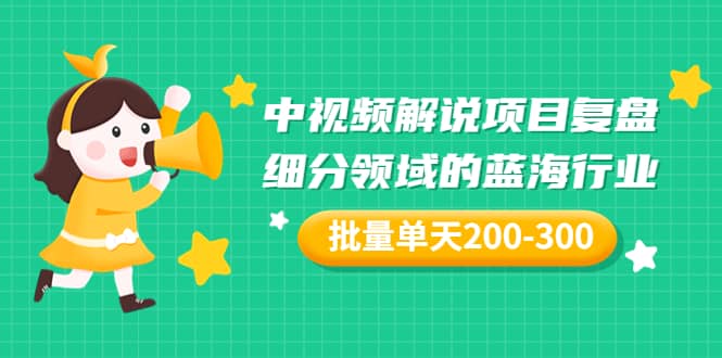 某付费文章：中视频解说项目复盘：细分领域的蓝海行业 批量单天200-300收益-副业金库