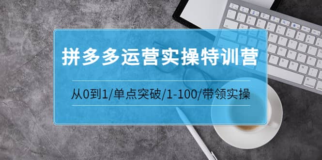 拼多多运营实操特训营：从0到1/单点突破/1-100/带领实操 价值2980元-副业金库