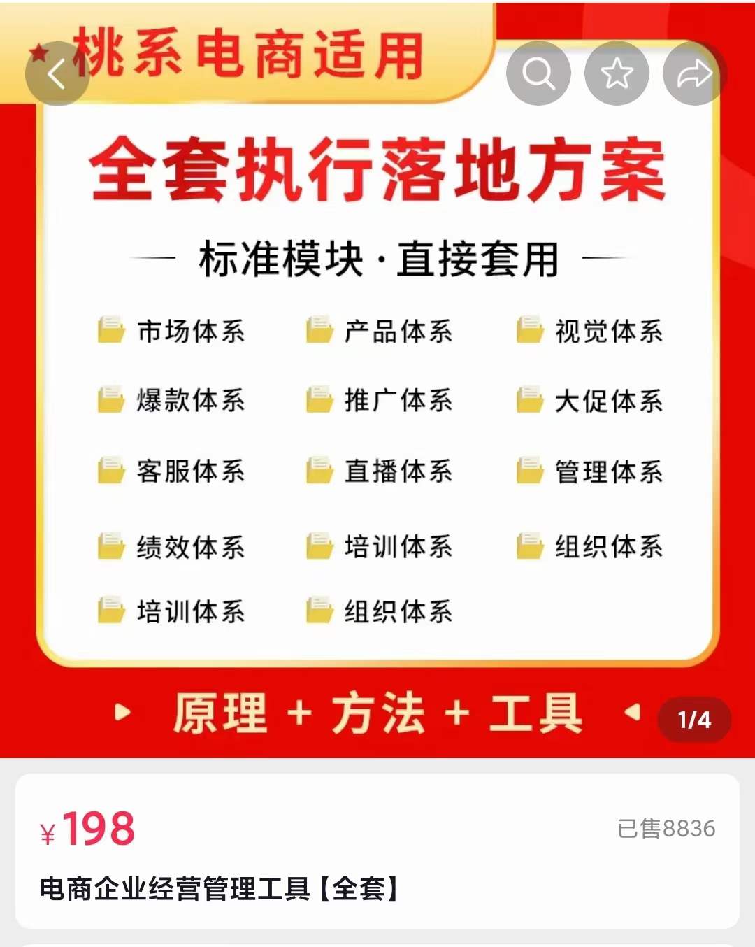 外面卖198·电商企业经营管理工具:全套执行落地方案 标准模块·直接套用-副业金库