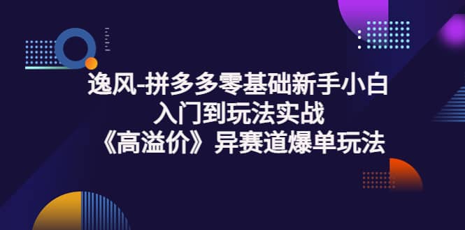 拼多多零基础新手小白入门到玩法实战《高溢价》异赛道爆单玩法实操课-副业金库
