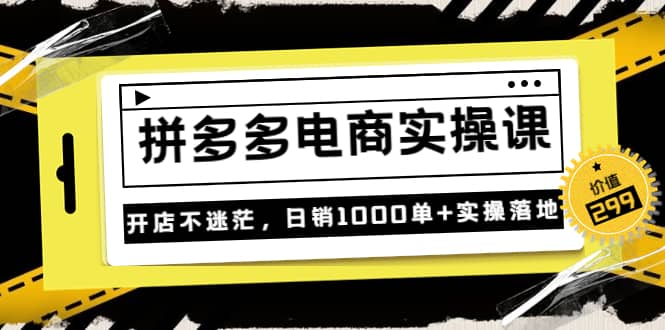 《拼多多电商实操课》开店不迷茫,日销1000单 实操落地(价值299元)-副业金库