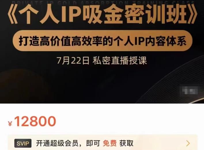 个人IP吸金密训班,打造高价值高效率的个人IP内容体系(价值12800元)-副业金库