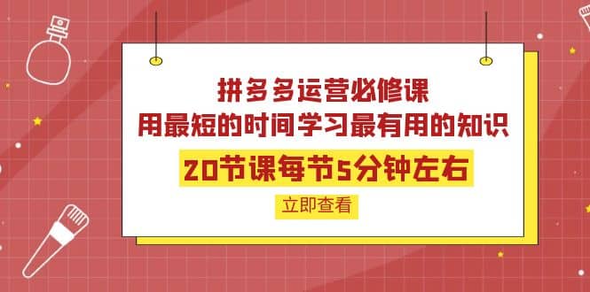 拼多多运营必修课：20节课每节5分钟左右，用最短的时间学习最有用的知识-副业金库