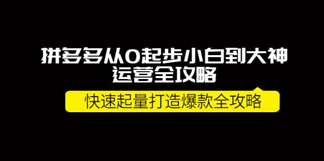 拼多多从0起步小白到大神运营全攻略-副业金库