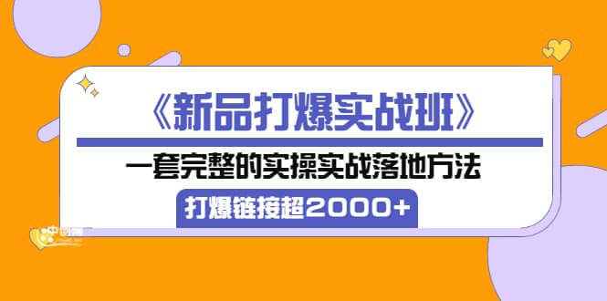 《新品打爆实战班》一套完整的实操实战落地方法，打爆链接超2000 （38节课)-副业金库