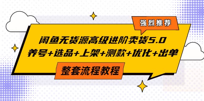 闲鱼无货源高级进阶卖货5.0，养号 选品 上架 测款 优化 出单整套流程教程-副业金库