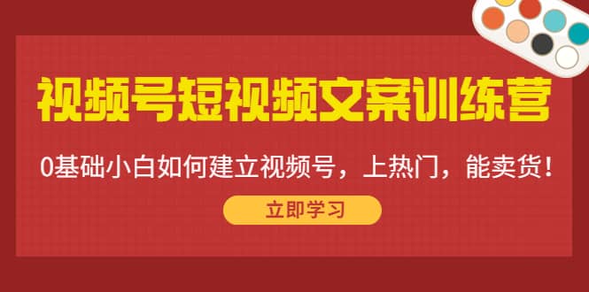 视频号短视频文案训练营：0基础小白如何建立视频号，上热门，能卖货！-副业金库