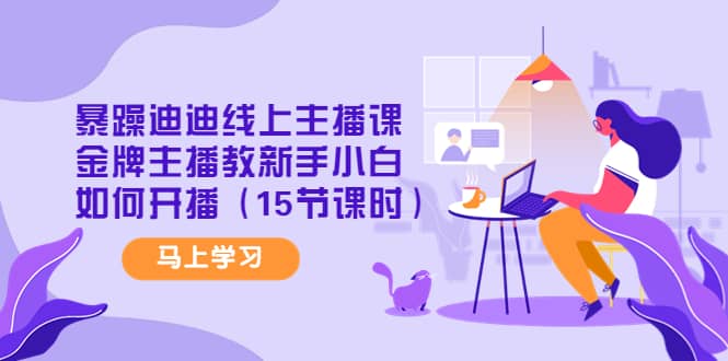 暴躁迪迪线上主播课,金牌主播教新手小白如何开播(15节课时)-副业金库