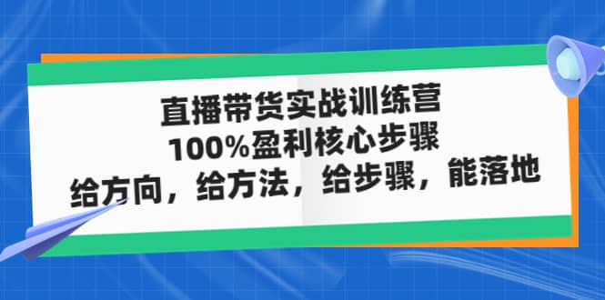 直播带货实战训练营：100%盈利核心步骤，给方向，给方法，给步骤，能落地-副业金库