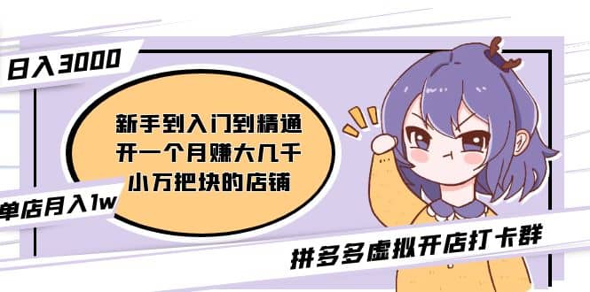 拼多多虚拟开店打卡群：新手到入门到精通-副业金库