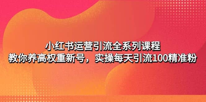 小红书运营引流全系列课程：教你养高权重新号-副业金库
