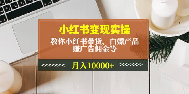 小红书变现实操：教你小红书带货，白嫖产品，赚广告佣金等-副业金库