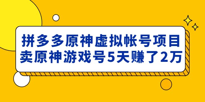 外面卖2980的拼多多原神虚拟帐号项目-副业金库