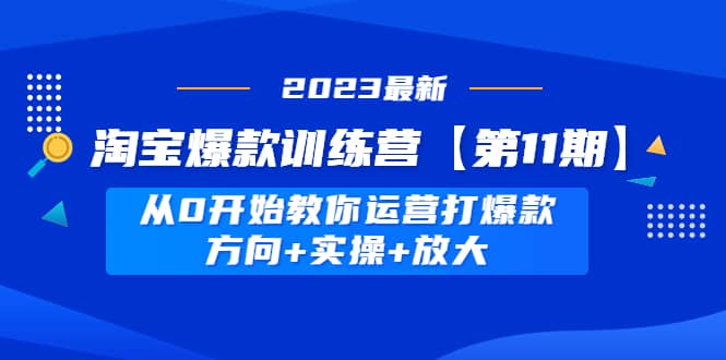 淘宝爆款训练营【第11期】 从0开始教你运营打爆款，方向 实操 放大-副业金库