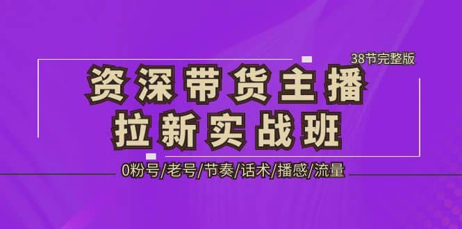 资深·带货主播拉新实战班，0粉号/老号/节奏/话术/播感/流量-38节完整版-副业金库