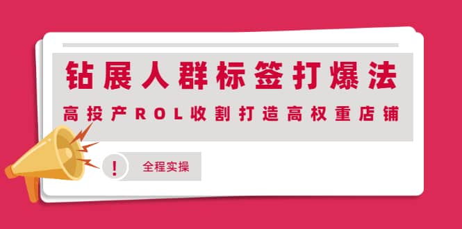 钻展人群标签打爆法,高投产ROL收割打造高权重店铺(全程实操)-副业金库