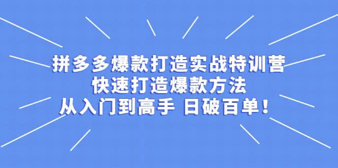 拼多多爆款打造实战特训营：快速打造爆款方法，从入门到高手 日破百单-副业金库