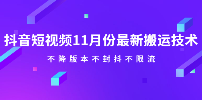 抖音短视频11月份最新搬运技术，不降版本不封抖不限流！【视频课程】-副业金库