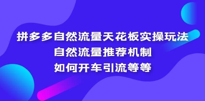拼多多自然流量天花板实操玩法：自然流量推荐机制，如何开车引流等等-副业金库