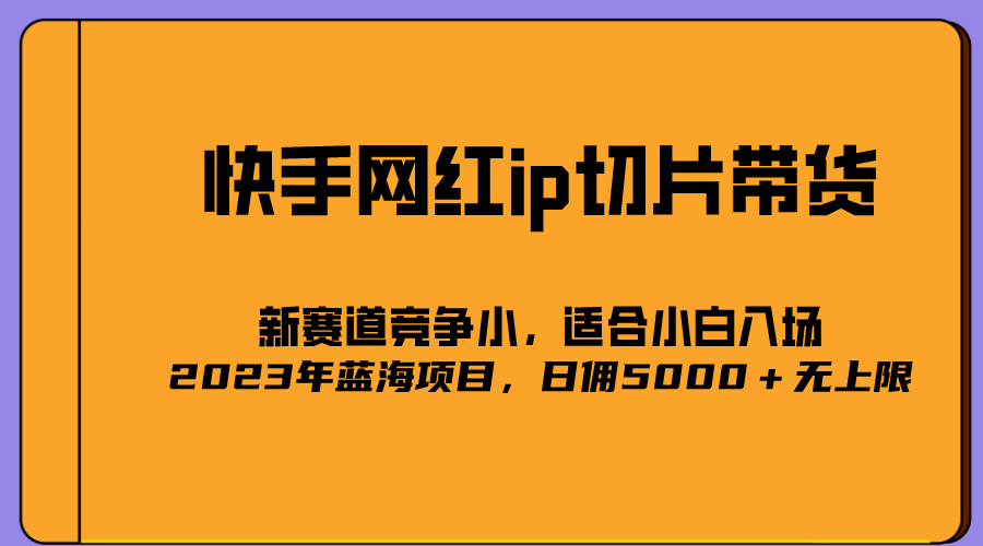 2023爆火的快手网红IP切片，号称日佣5000＋的蓝海项目，二驴的独家授权-副业金库