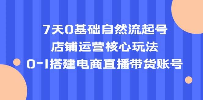 7天0基础自然流起号，店铺运营核心玩法，0-1搭建电商直播带货账号-副业金库