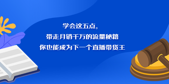 学会这五点,带走月销千万的流量秘籍,你也能成为下一个直播带货王-副业金库