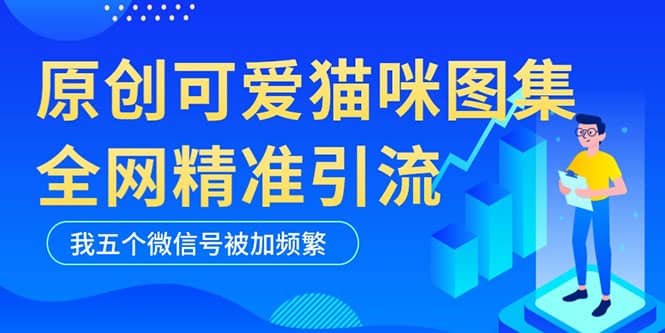 黑科技纯原创可爱猫咪图片，全网精准引流，实操5个VX号被加频繁-副业金库