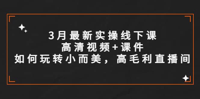 3月最新实操线下课高清视频 课件，如何玩转小而美，高毛利直播间-副业金库