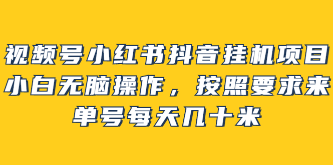 视频号小红书抖音挂机项目，小白无脑操作，按照要求来，单号每天几十米-副业金库