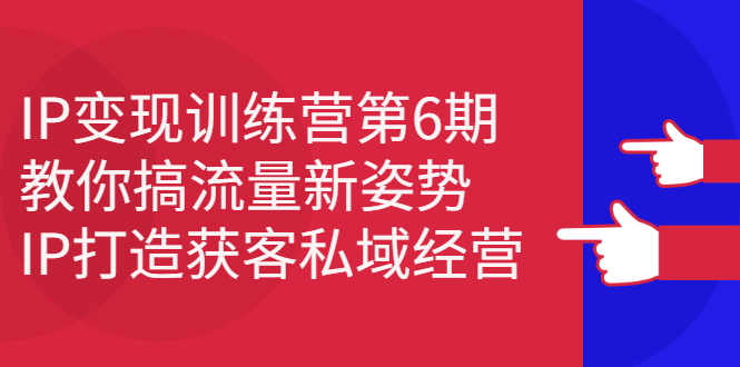 IP变现训练营第6期：教你搞流量新姿势，IP打造获客私域经营-副业金库
