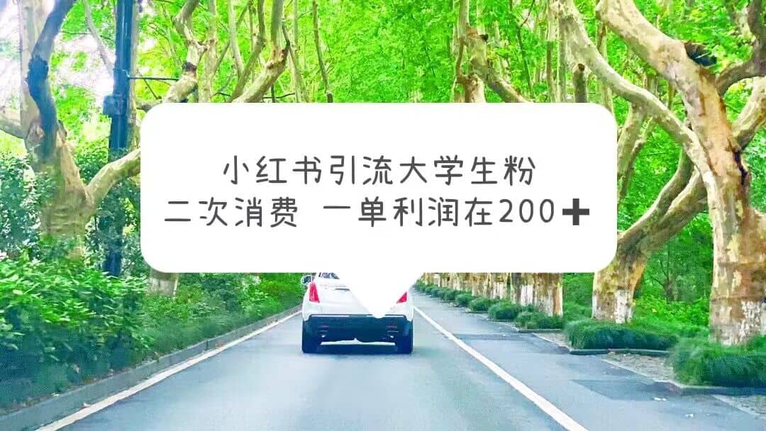 小红书引流大学生粉，变现项目，一单利润在200 （教程 资源）-副业金库