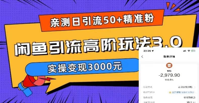 实测日引50 精准粉,闲鱼引流高阶玩法3.0,实操变现3000元-副业金库