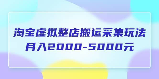 淘宝虚拟整店搬运采集玩法分享课:月入2000-5000元(5节课)-副业金库