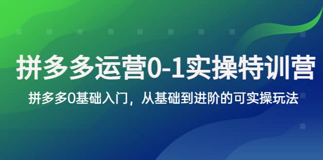 拼多多-运营0-1实操训练营,拼多多0基础入门,从基础到进阶的可实操玩法-副业金库