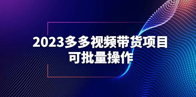 2023多多视频带货项目，可批量操作【保姆级教学】-副业金库