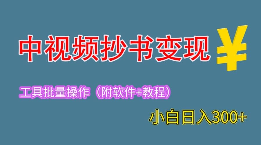 2023中视频抄书变现（附工具 教程），一天300 ，特别适合新手操作的副业-副业金库